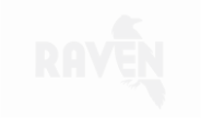 Raven Tools